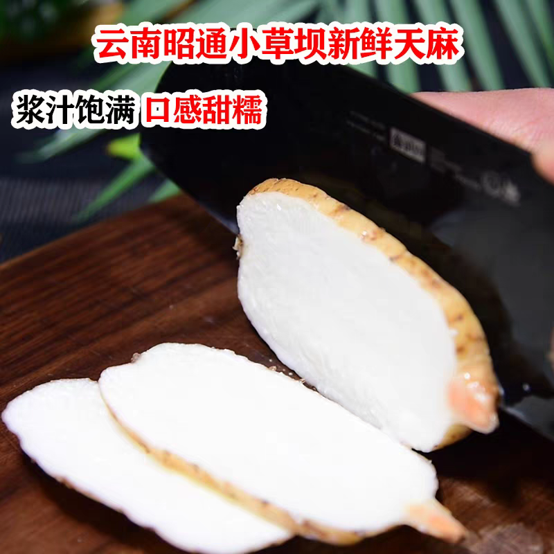 【云南昭通新鲜天麻】顺丰到家 个头短肥 肉质肥厚 口感回味甘甜 带泥发货 品质优良 新鲜现挖  4种规格任选
