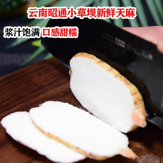 【云南昭通新鲜天麻】顺丰到家 个头短肥 肉质肥厚 口感回味甘甜 带泥发货 品质优良 新鲜现挖  4种规格任选 商品图1