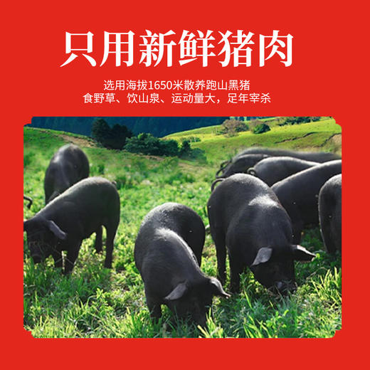 晓姚妈妈菜丨简装腊香肠500g 商品图4