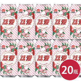 大窑 荔爱荔枝味汽水饮料 罐装500ml*20（6974800840330）