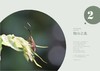 追随昆虫(自然感悟丛书) 商品缩略图3