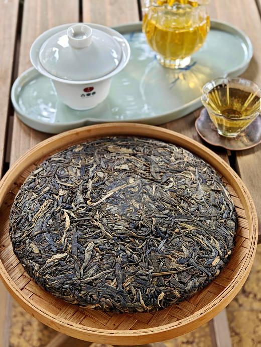 最后十几饼【姑娘寨单株】勐海明珠—姑娘寨古树单株，2023年头春茶，勐海干仓转化，超高！超高！超高性价比！357克/饼，拍5送1 商品图1