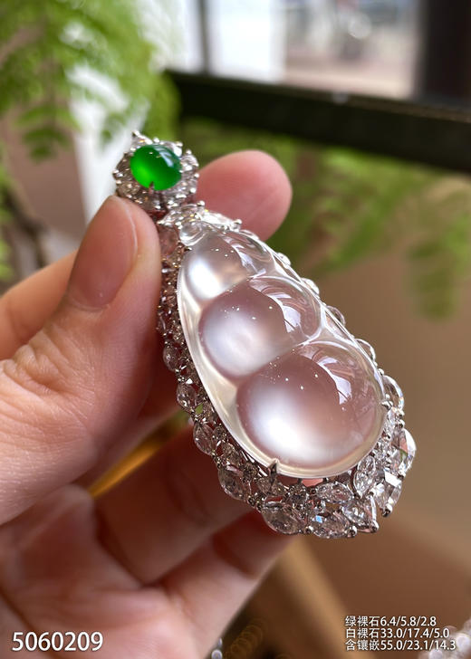 玻璃种福豆吊坠【5060209】具体价格微信咨询 商品图3