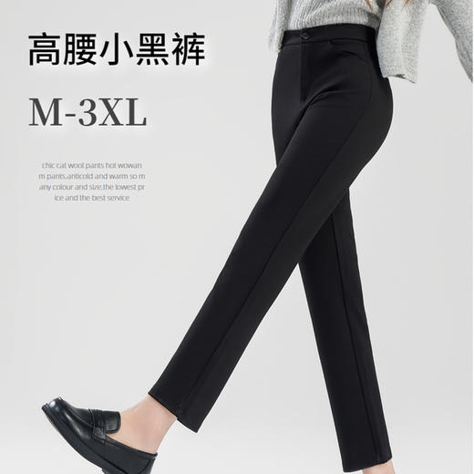 丁摩 【直筒小黑裤】哥弟面料高腰西装裤女春直筒显瘦窄版拉链休闲裤子6ZF-C066 商品图0