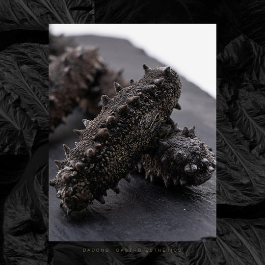 大董 佛跳墙 2盅  500g  自带门店同款白玉盅 商品图5