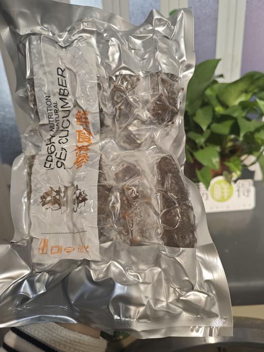 【无添加】正经的大连即食海参 大号   500克/袋（6头/8头自选） 冷冻保存 商品图5