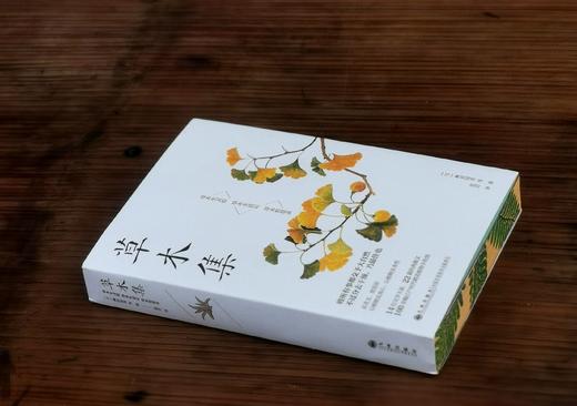 《草木集》，32开，平装，三口刷边，柳田国男等著，九州出版社2025年8月一版一印，定价78，售价62.4元。 商品图1