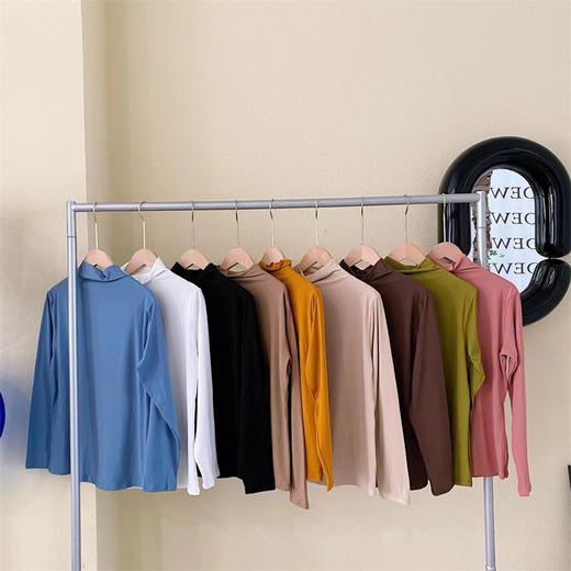 【秒杀❗️29.9抢2件🔥半高领打底衫】恒温保暖，柔软轻盈，显气质，穿上不想脱下来！秋冬九色女亲肤裸感面膜衣纯色百搭高弹修身长袖上衣 商品图1