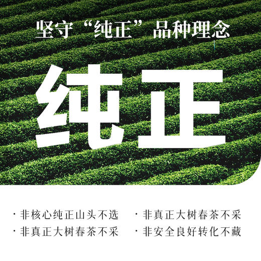 云顶陈年贡茶50 普洱（熟茶）357g紧压茶 商品图6