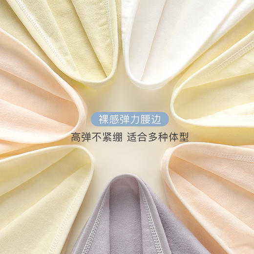 【7A抑菌 纯棉7条装】女士内裤舒适透气高弹不勒中腰提臀收腹1160#花季少女内裤 商品图2