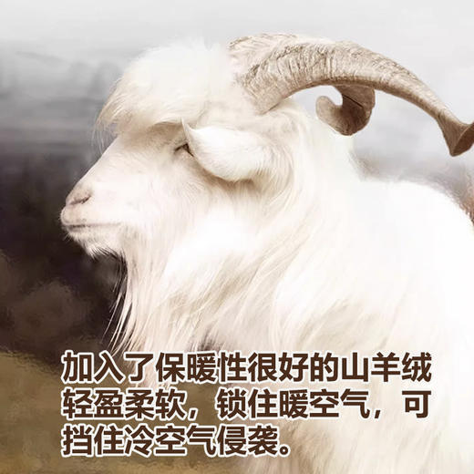 山羊绒倍暖系列男女士打底衫 商品图3