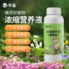 植物营养液通用型花草盆栽水培绿萝多肉发财树富贵竹专用花卉肥料 商品缩略图2