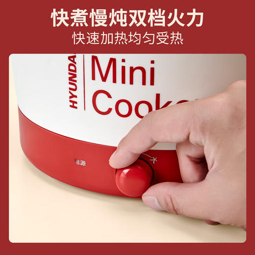 HYUNDAI 现代电煮锅  3L  QC-HHG153 商品图4