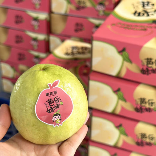 【芭乐】又名番石榴，属于后熟型水果，果肉微软可食，肉质糯甜，籽可食！ 商品图5