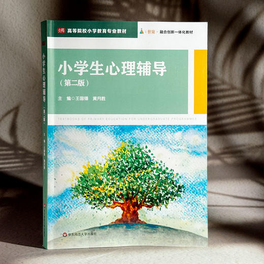 小学生心理辅导 第二版 高等院校小学教育专业教材 王国锋 黄月胜 商品图3