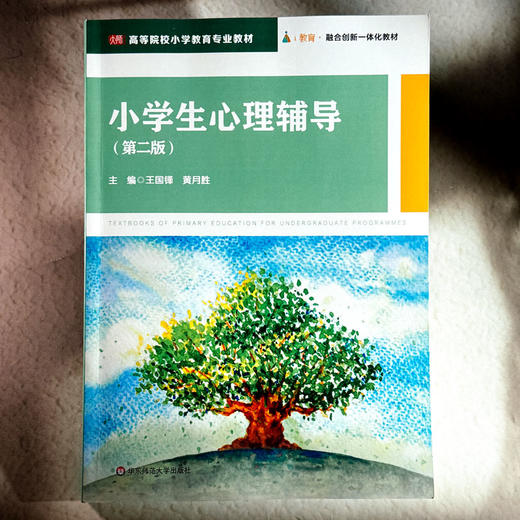 小学生心理辅导 第二版 高等院校小学教育专业教材 王国锋 黄月胜 商品图1