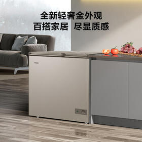 海尔（Haier）180升低霜双箱双温商用家用冰柜 大冷冻小冷藏卧式小型冰箱冷柜FCD-180GHXCD