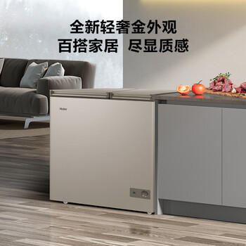 海尔（Haier）180升低霜双箱双温商用家用冰柜 大冷冻小冷藏卧式小型冰箱冷柜FCD-180GHXCD 商品图0
