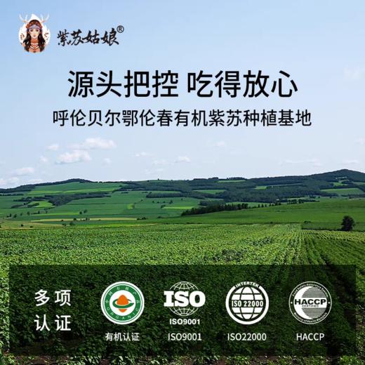 有机紫苏籽油5mlx20条 商品图1