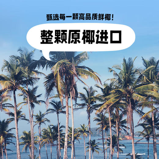 椰子知道0糖厚椰乳200g*9 商品图4