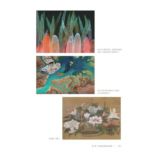 自然形态造型设计基础/浙江省普通高校“十三五”新形态教材/高等院校视觉美育综合设计基础系列教材/焦彩虹 编著/浙江大学出版社 商品图3