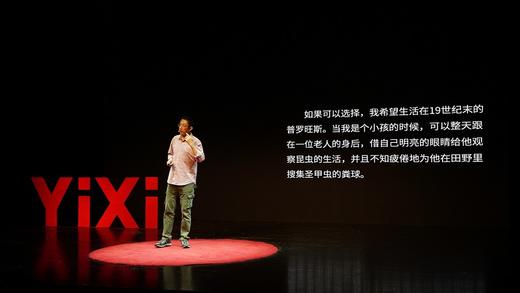 追随昆虫(自然感悟丛书) 商品图6