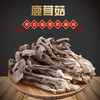 松茸菇干货食材 商品缩略图3
