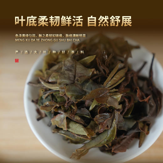 存木香 袋装白茶100克 商品图2