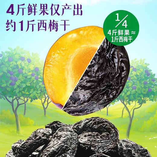 溜溜梅西梅纤生每日0添加无核西梅 210g 商品图2