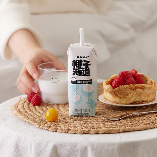 椰子知道0糖鲜椰汁250ml*10 商品图3