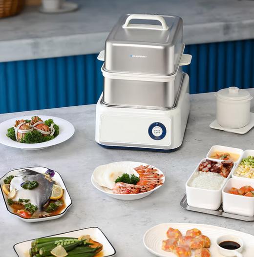 蓝宝多功能蒸锅BP-DZG04  4L 商品图0