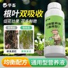 植物营养液通用型花草盆栽水培绿萝多肉发财树富贵竹专用花卉肥料 商品缩略图0