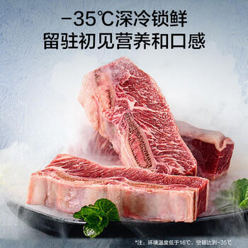 海尔（Haier）253升单温冰柜家用大容量无需频繁除霜冷冻/冷藏小型冰箱BC/BD-253GHPSM 商品图3