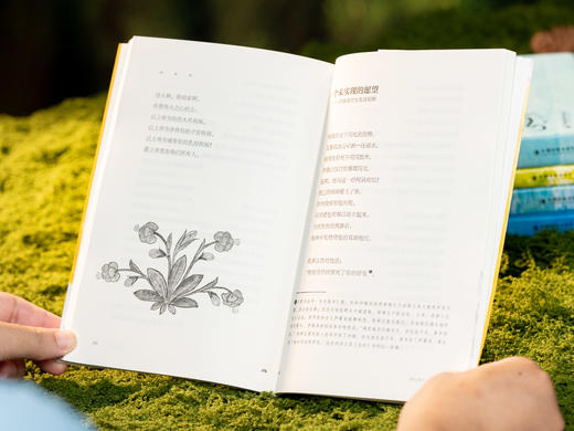 【比肩泰戈尔的东方文学大师】《纪伯伦精选集》（全5册）每个孤独者的“心灵挚友”，人间清醒的“答案之书”。散文+诗歌+小说，阿拉伯语翻译大家李唯中历时20年翻译 商品图4