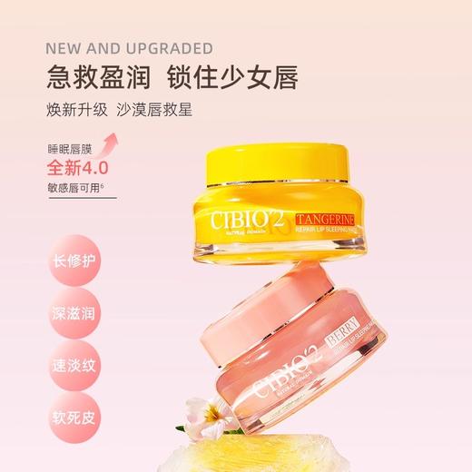 希蓓欧睡眠保湿修护唇膜(滋润型)15g（250867） 商品图1