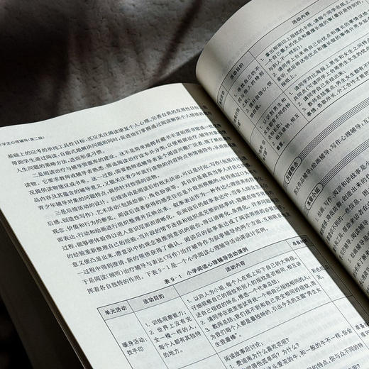 小学生心理辅导 第二版 高等院校小学教育专业教材 王国锋 黄月胜 商品图12