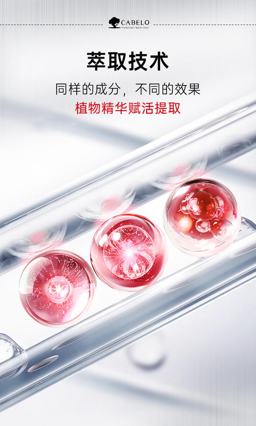 胖东来/屈臣氏同款防脱卡蓓诺加强型育发洗发水 商品图8