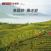 小罐茶园 彩标系列陈皮白茶 升级版 105g（35饼）超值大量装 【现货】 商品缩略图6