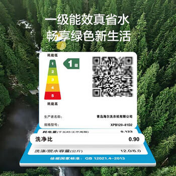 海尔（Haier）半自动双桶双缸洗衣机 12KG大容量  强力去污洗大件 一级能效家电 XPB120-81D2 商品图5