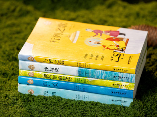 【比肩泰戈尔的东方文学大师】《纪伯伦精选集》（全5册）每个孤独者的“心灵挚友”，人间清醒的“答案之书”。散文+诗歌+小说，阿拉伯语翻译大家李唯中历时20年翻译 商品图6