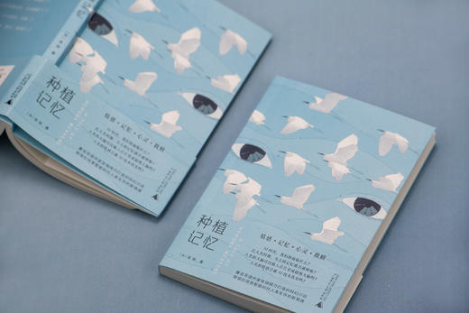 种植记忆  张翎/著 情感 记忆 心灵 救赎 人工智能 芯片 未来 孤独 机器人 张翎 种植  广西师范大学出版社 商品图2