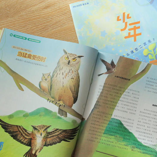 （送精选杂志+帆布袋）三联《少年新知》2026年全年12个月订阅（月初 8 号左右发货） 商品图5