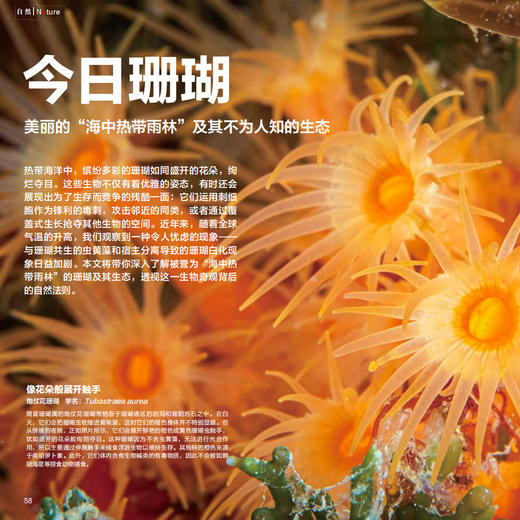 《科学世界》12期征订（共12本） 商品图10