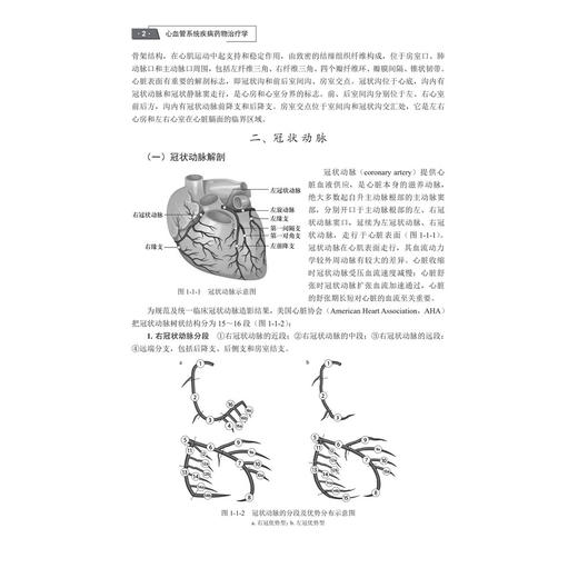 心血管系统疾病药物治疗学 临床药物治疗学系列教材 殷跃辉 王娜 于超 全书采用基于"案例"和"问题"进行教学的特点和方法科学出版社 商品图4