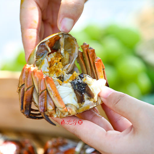 【秘制花雕熟醉蟹】开箱即食，固城湖核心区的有机大闸蟹，肉质饱满，酒香浓郁 商品图10