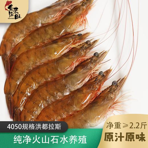 【顺丰冷链】洪都拉斯大虾 白虾鲜活速冻 高端白对虾基围虾 - 海福特 商品图3