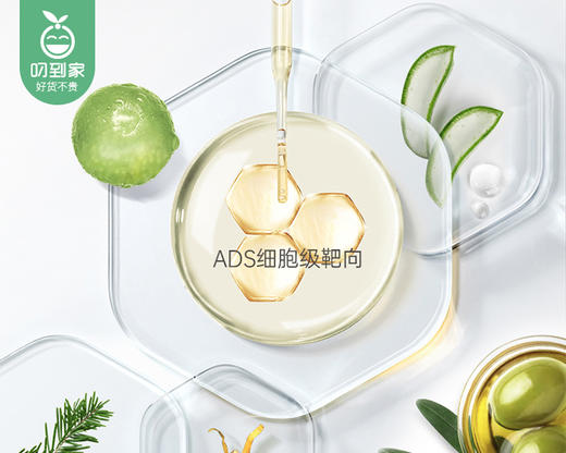 【预售-12月29日配送】滋源净屑舒爽精华洗发水/1瓶（500g）限用日期：29年1月 商品图2