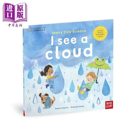 【中商原版】剑桥大学合作出版系列 小小科学 我看到了一朵云 University of Cambridge Teeny Tiny Science I See a Cloud 商品图1