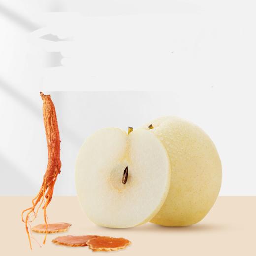 雪梨红参膏 口感温和不辛辣 商品图1