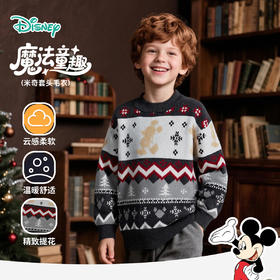 25年迪士尼新款秋季男童套头毛衣针织上衣ZD3ES061
